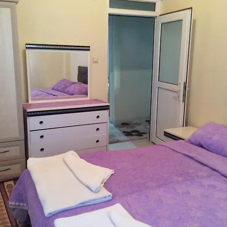 Pars Art Kargı